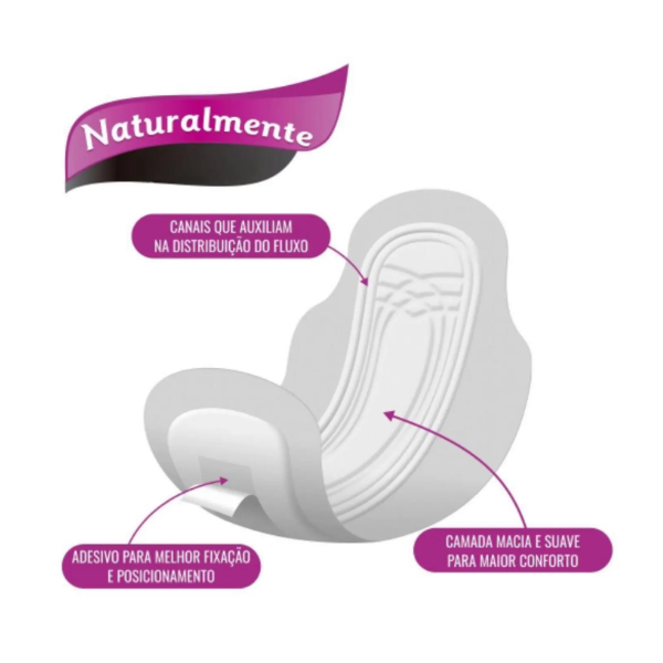 Absorvente Com Abas Naturalmente Gel Mais Leve 8 Pague 7 Absorvente Com Abas Naturalmente Gel Mais Leve 8 Pague 7