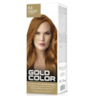 Kit Tintura Gold Color 8.4 Louro Claro Acobreado