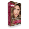 Kit Tonalizante Amend Supéria Color 831 Louro Claro Dourado Acinzentado