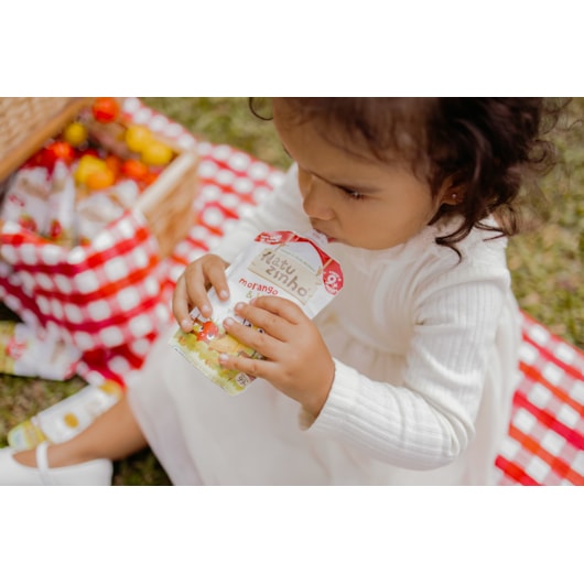 Papinha de Fruta Orgânica Natuzinho +9 meses - Sabor Morango e Banana Papinha de Fruta Orgânica Natuzinho +9 meses - Sabor Morango e Banana